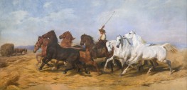 Die Weizendrescherei in der Camargue, c.1864/99 von Rosa Bonheur | Gemälde-Reproduktion