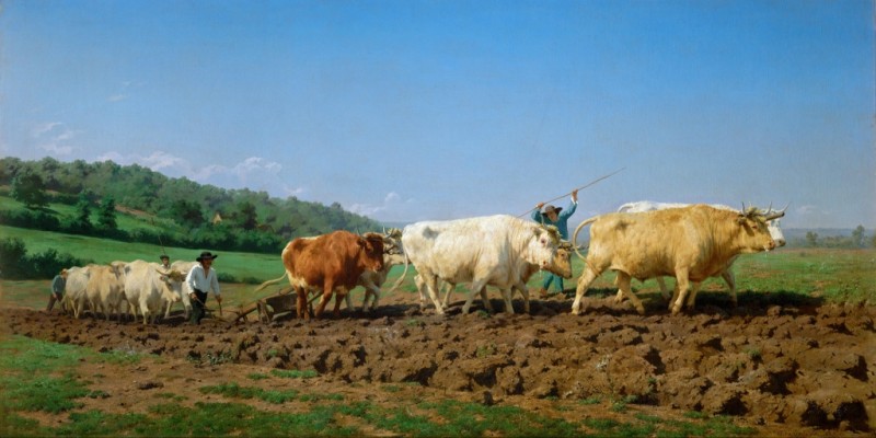 Rosa Bonheur | Ploughing in Nevers, 1849 Ploughing in Nevers, 1849 | Rosa Bonheur