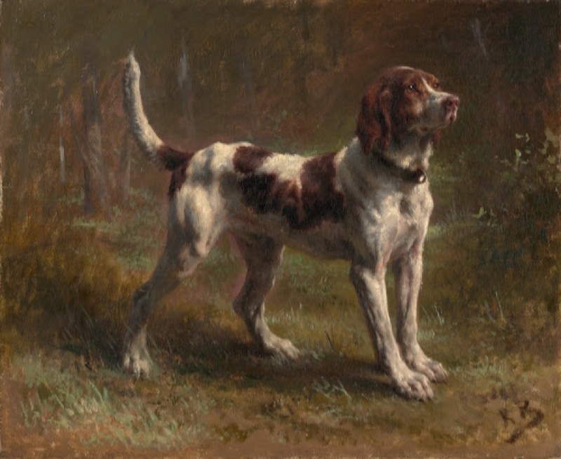 Rosa Bonheur | A Limier Briquet Hound, 1856 A Limier Briquet Hound, 1856 | Rosa Bonheur