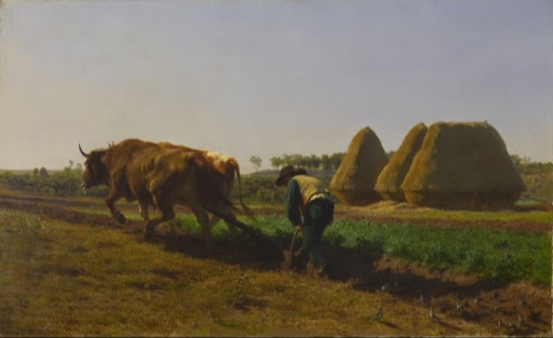 Ploughing Scene, 1854 | Rosa Bonheur