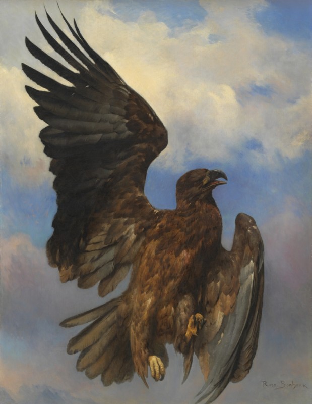 Rosa Bonheur | The Wounded Eagle, 1870 The Wounded Eagle, 1870 | Rosa Bonheur