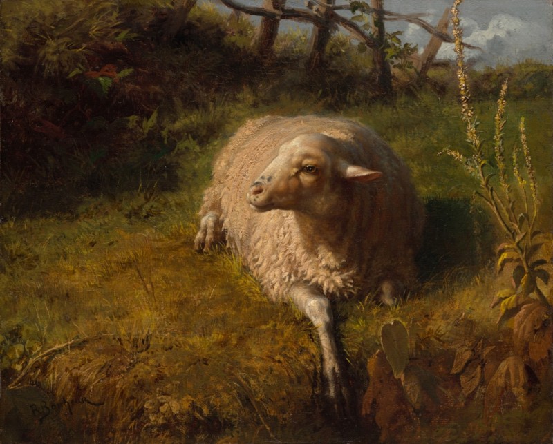 Ein Schaf in Ruhe, n.d. | Rosa Bonheur