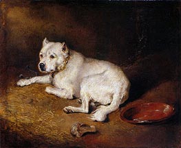 A Staffordshire Bull Terrier, c.1850/70 by Landseer | Painting Reproduction