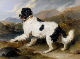Lion: A Newfoundland Dog, 1824 by Landseer | Painting Reproduction