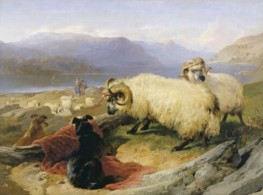 Angebundene Widder | Landseer | Gemälde Reproduktion
