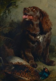 A Sussex Spaniel and a Pheasant | Landseer | Painting Reproduction