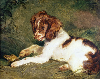 A Puppy teasing a Frog, 1824 | Landseer | Painting Reproduction