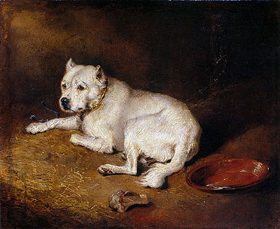 A Staffordshire Bull Terrier, c.1850/70 | Landseer | Gemälde Reproduktion