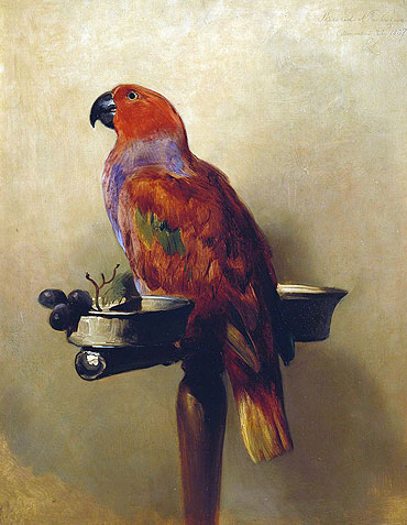 The Lory, 1837 | Landseer | Painting Reproduction