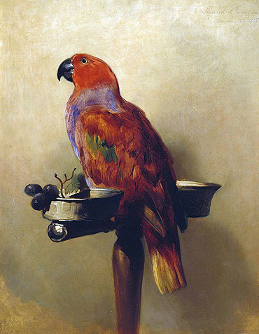 The Lory, 1837 | Landseer