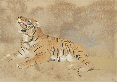 Tiger, n.d. | Landseer | Gemälde Reproduktion
