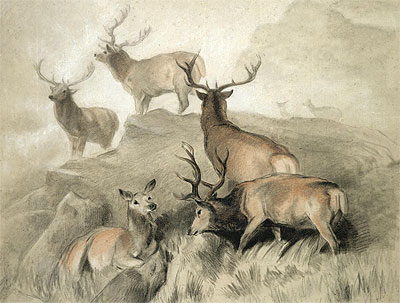 Some of the Best Harts in the Forest, 1860 | Landseer | Gemälde Reproduktion