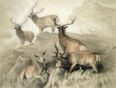 Some of the Best Harts in the Forest, 1860 by Landseer | Painting Reproduction