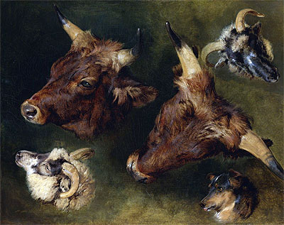 Studies of Cattle and Sheep, 1868 | Landseer | Gemälde Reproduktion