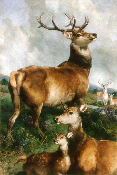 Deer of Chillingham Park, Northumberland, 1867 by Landseer | Painting Reproduction