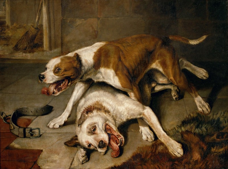 Kämpfende Hunde, 1818 | Landseer