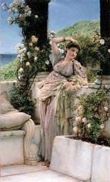 Rose of All Roses, 1885 by Alma-Tadema | Painting Reproduction