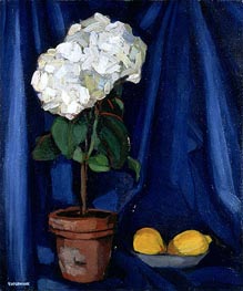 Bouquet of Hortensias and Lemon | Lempicka | Gemälde Reproduktion