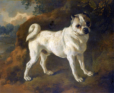 A Pug, c.1780/85 | Gainsborough | Painting Reproduction