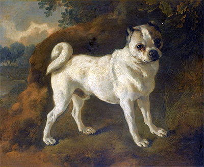 A Pug, c.1780/85 by Gainsborough | Painting Reproduction