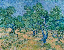 Olivenhain | Vincent van Gogh | Gemälde Reproduktion