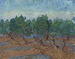 Olive Grove, 1889 by Vincent van Gogh | Painting Reproduction