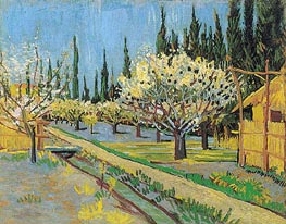 Orchard in Blossom, Bordered by Cypresses, 1888 by Vincent van Gogh | Painting Reproduction