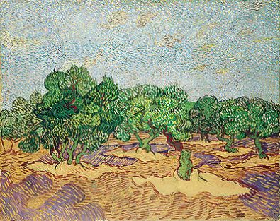 Olivenhain | Vincent van Gogh | Gemlde-Reproduktion 1182 | TOPofART