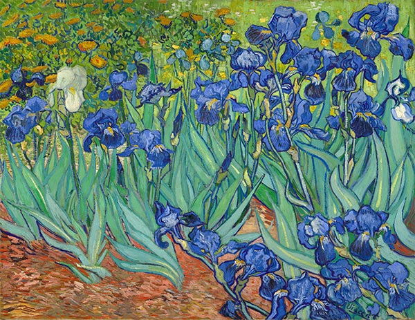 Irises, 1889 by Vincent van Gogh | Painting Reproduction