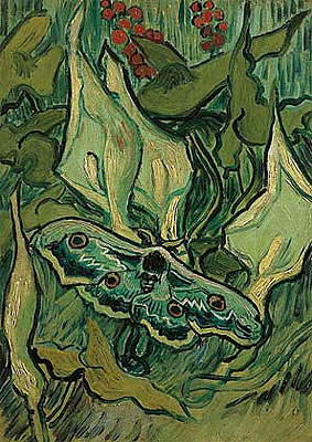 Emperor Moth, 1889 | Vincent van Gogh | Gemälde Reproduktion