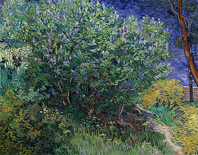 Fliederbusch (Flieder), 1889 | Vincent van Gogh