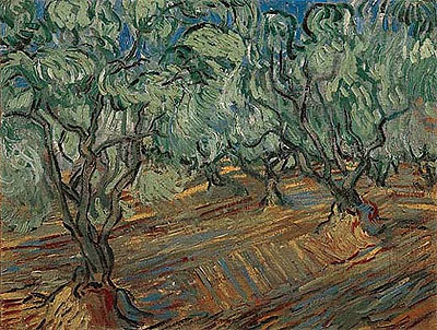 Olivenhain | Vincent van Gogh | Gemälde Reproduktion