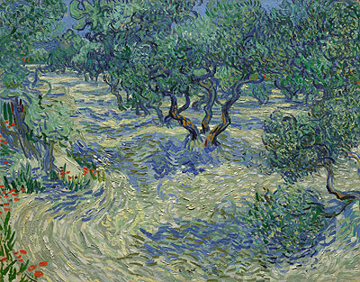 Olive Orchard, 1889 | Vincent van Gogh | Gemälde Reproduktion