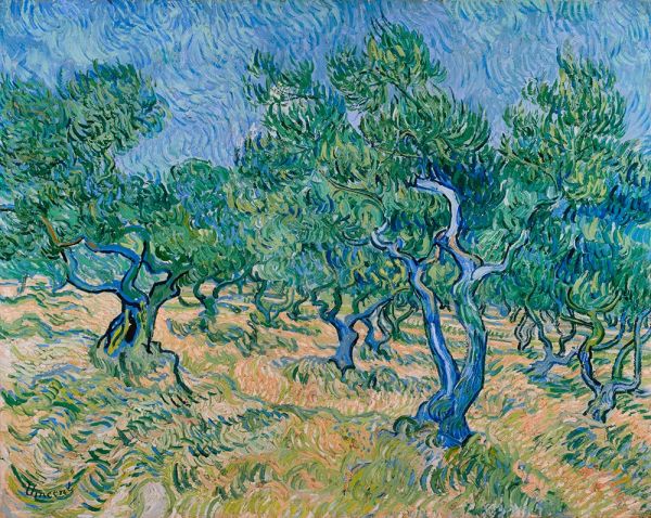 Olivenhain, 1889 | Vincent van Gogh | Gemälde Reproduktion