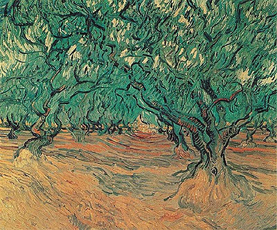 Olive Trees, 1889 | Vincent van Gogh | Painting Reproduction