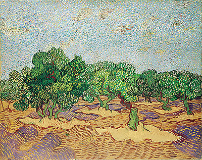 Olive Orchard, 1889 | Vincent van Gogh | Painting Reproduction