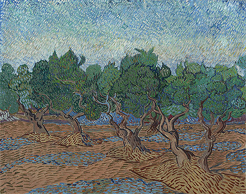 Olive Grove, 1889 | Vincent van Gogh | Gemälde Reproduktion