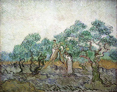 The Olive Orchard, 1889 | Vincent van Gogh | Painting Reproduction