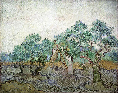Der Olivenhain | Vincent van Gogh | Gemälde Reproduktion