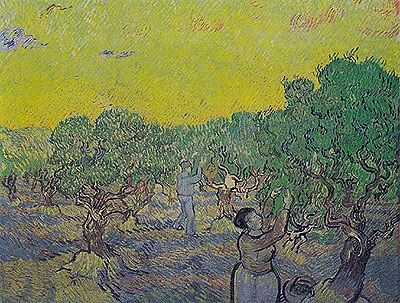 Olivenhain mit pflückenden Figuren | Vincent van Gogh | Gemälde Reproduktion