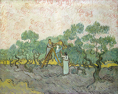 Olive Picking, 1889 | Vincent van Gogh | Gemälde Reproduktion