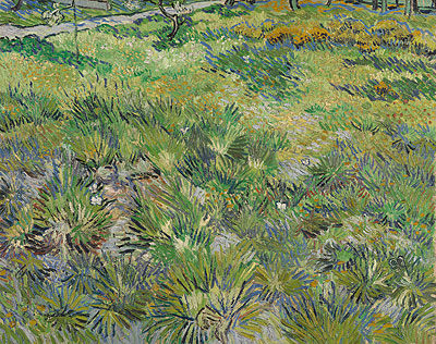 Meadow in the Garden of Saint-Paul Hospital | Vincent van Gogh | Painting Reproduction