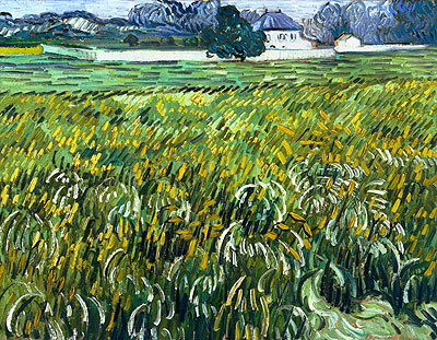 Weizenfeld in Auvers mit weißem Haus, 1890 von Vincent van Gogh | Gemälde-Reproduktion