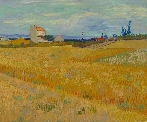 Wheatfield | Vincent van Gogh | Painting Reproduction
