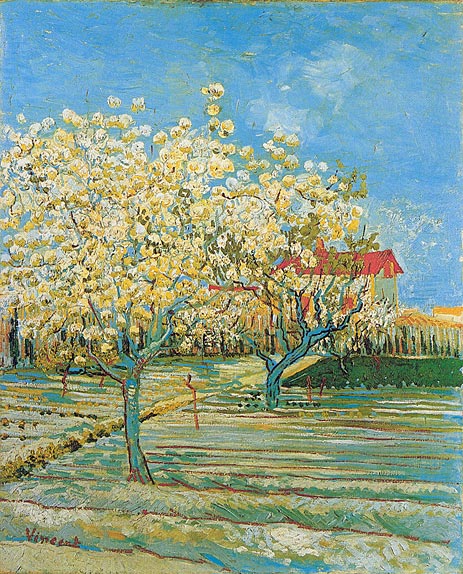Obstgarten in voller Blüte, 1888 von Vincent van Gogh | Gemälde-Reproduktion