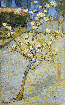 Blühender Birnbaum, 1888 von Vincent van Gogh | Gemälde-Reproduktion
