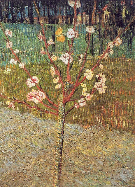 Flowering Almond Tree, 1888 | Vincent van Gogh | Painting Reproduction
