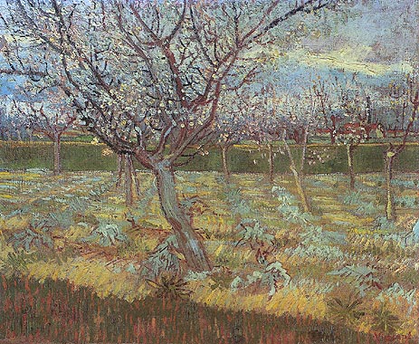 Apricot Trees in Blossom, 1888 | Vincent van Gogh | Painting Reproduction