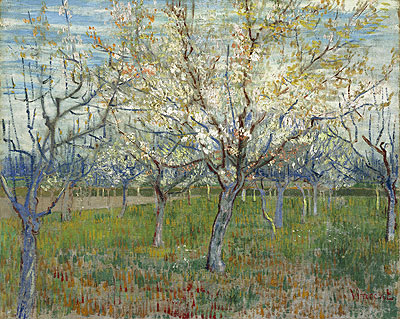 Orchard with Blossoming Apricot Trees, 1888 | Vincent van Gogh | Painting Reproduction