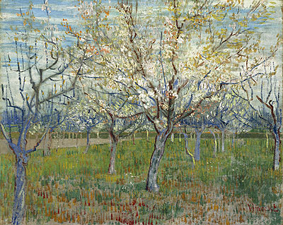 Garten mit blühenden Aprikosenbäumen, 1888 von Vincent van Gogh | Gemälde-Reproduktion
